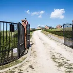 Oeregtoelgy