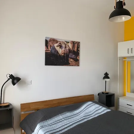 Oeregtoelgy Apartment *