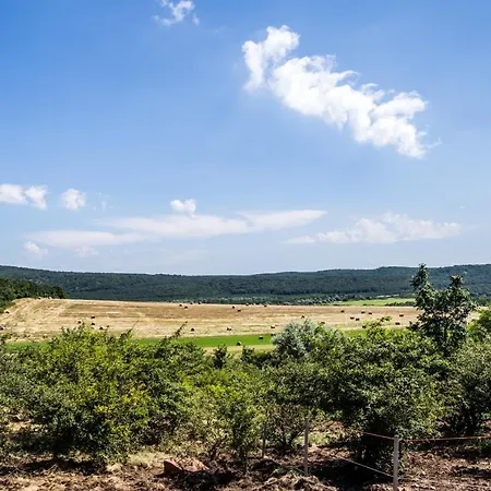 Oeregtoelgy Apartament Szár
